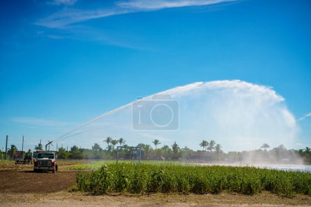 Foto de Cultivos de riego de camiones en una granja - Imagen libre de derechos