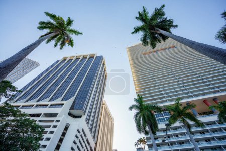 Foto de Miami, FL, Estados Unidos - 21 de febrero de 2024: Highrise office and residential torwers Downtown Miami FL - Imagen libre de derechos