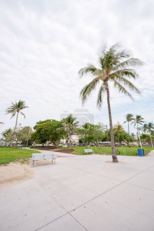 Foto de Miami Beach, FL USA 2024. Stock photo Ocean Drive long exposure to blur people and trees. Logos removed - Imagen libre de derechos