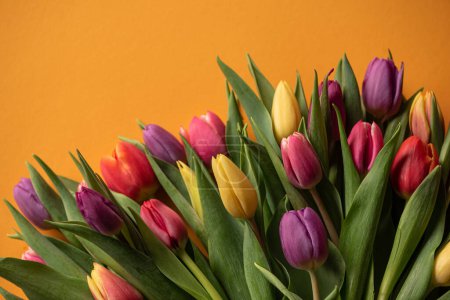 Téléchargez les photos : Bright spring flowers tulips on the yellow background - en image libre de droit