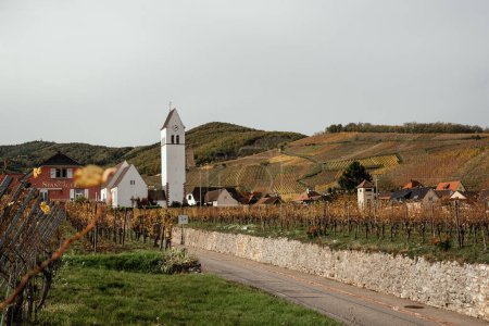 Téléchargez les photos : Chemin de Katzenthal dans le vignoble d'Alsace, paysage automnal - en image libre de droit