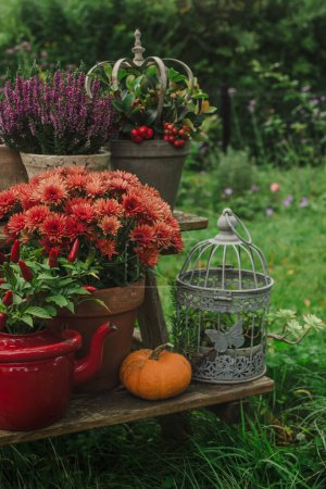 Photo for Autumn still life with flowers and pumpkins in the garden.  Heather, chrysanthemums and cotoneaster in a pot on wooden table - Royalty Free Image