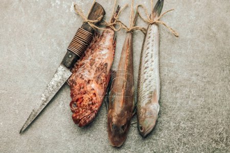 Foto de Concept of fresh marine food illustrated by uncooked 3 types of fish tied with rope next to knife and hanging by the wall in front of texture background - Imagen libre de derechos