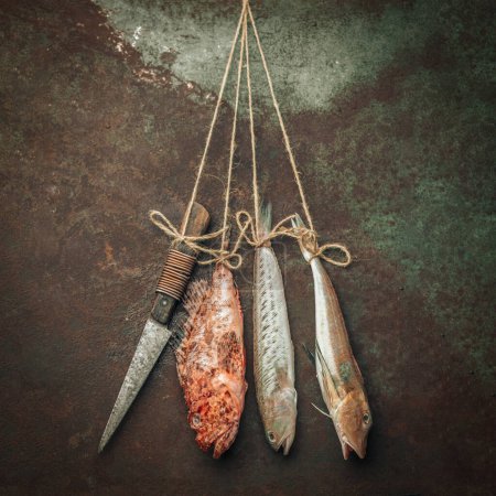 Foto de Three types of raw fresh fish tied with rope and hanging by the rusty wall along with a knife, healthy lifestyle concept - Imagen libre de derechos