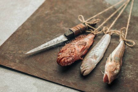 Téléchargez les photos : Concept of cooking illustrated by rusty chopping board with three types of fish and knife on top hanging and tied with rope - en image libre de droit