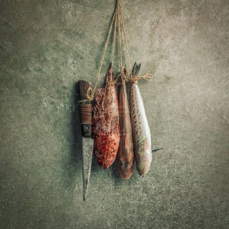Foto de Picture of uncooked fresh fish tied with rope and hanging by the wall with a knife in front of texture background - Imagen libre de derechos