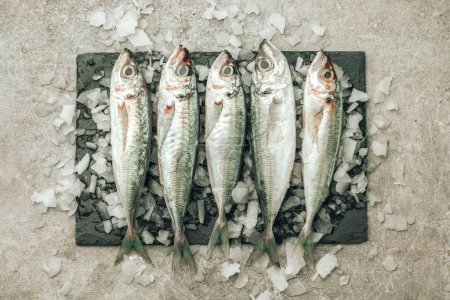 Foto de Table top picture of raw seabass fish on black chopping board with ice cubes on top on texture background - Imagen libre de derechos