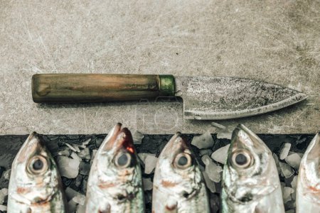 Foto de Rusty knife with wooden handle with raw seabass on top of cutting board and ice on texture background - Imagen libre de derechos