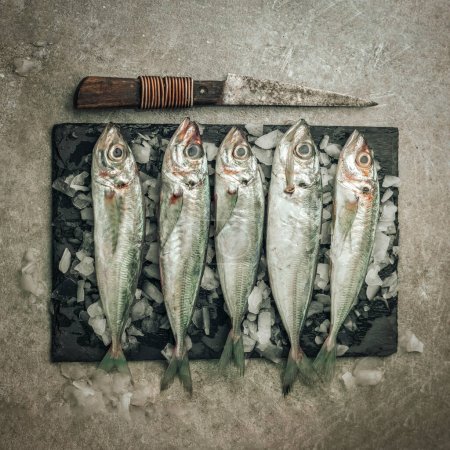 Foto de Flat lay picture of fresh raw seabass fish on ice on cutting board with knife on texture background - Imagen libre de derechos