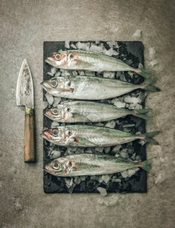 Foto de Flat lay picture of whole white seabass fish on cutting board with ice cubes and knife on top of texture background - Imagen libre de derechos