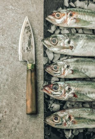 Foto de Freshness concept illustrated by uncooked seabass fish on ice on top of cutting board in front of texture background with knife - Imagen libre de derechos