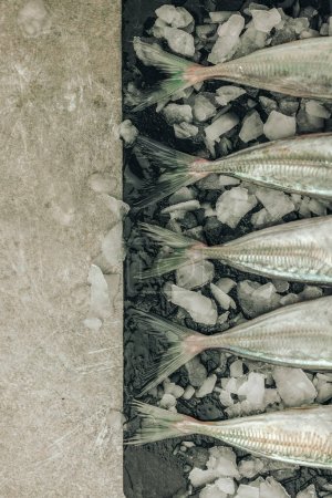 Foto de Fresh uncooked fish tail on top of cutting board with ice cubes on texture background - Imagen libre de derechos
