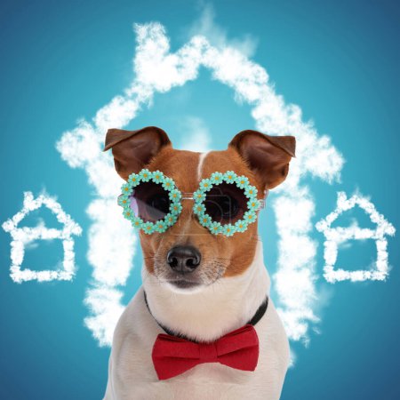Téléchargez les photos : Génial. Jack Russell terrier chiot portant des lunettes de soleil fleurs et noeud papillon rouge autour du cou posant pour adoption, à la recherche d'une famille aimante - en image libre de droit