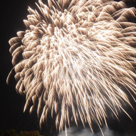 Téléchargez les photos : Un feu d'artifice contre un ciel nocturne sombre - couleur blanche - en image libre de droit