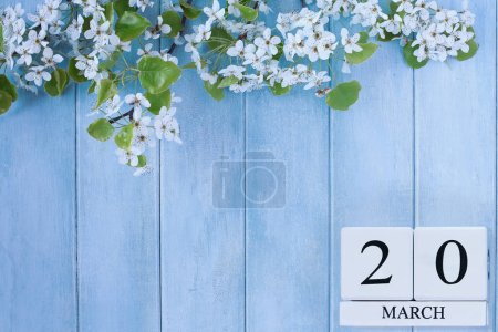 Téléchargez les photos : Beautiful white blossoms against a peaceful blue rustic wooden background. First day of spring equinox. Image shot from above in flat lay table top view. - en image libre de droit