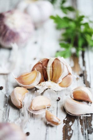 Photo for Closeup of Red Inchelium garlic cloves on white wooden table with garlic bulbs in background. Selective focus with blurred foreground and background. - Royalty Free Image