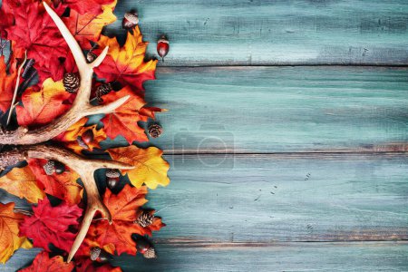 Photo for Real white tail deer antlers over a rustic wooden table with colorful autumn fall leaves. These are used by hunters when hunting to rattle in other large bucks. Free space for text. Top view. - Royalty Free Image