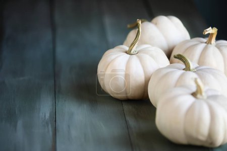 Photo for Front view of small mini white fall pumpkins on rustic blue green table for autumn . Selective focus with blurred foreground and background. - Royalty Free Image