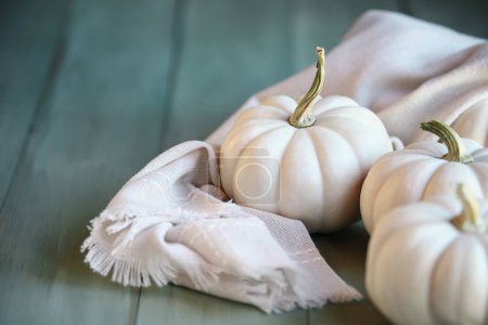Photo for Front view of three small mini white fall pumpkins on rustic green table for autumn.  Selective focus with blurred foreground and background. - Royalty Free Image