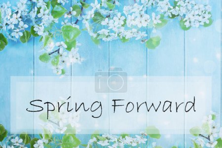 Photo for Spring forward sign over a beautiful spring tree blossoms against a peaceful blue rustic wooden background. Image shot from above in flat lay table top view. - Royalty Free Image