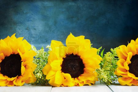 Photo for Three large beautiful sunflowers against a blue painterly background with copy space. Front view. - Royalty Free Image