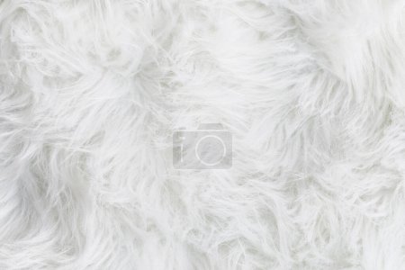 Photo for Full frame of soft fake white fur rug. Overhead top view plush pattern fabric. - Royalty Free Image