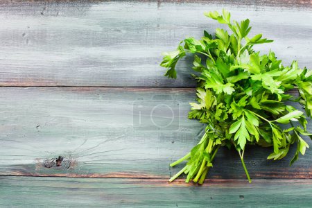 Photo for Bundle of fresh Italian flat leaf parsley herb over a painted background. Table top view. Overhead. Flatlay. - Royalty Free Image