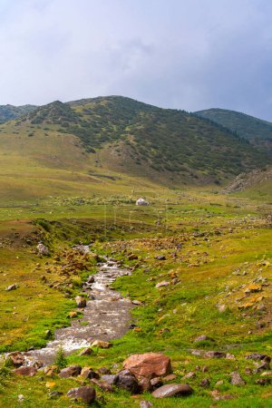 Belle nature du Kazakhstan sur le plateau d'Assy en été. Rivière de montagne, collines vertes et yourtes blanches.