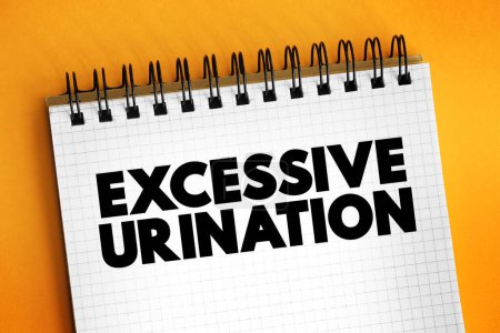 Téléchargez les photos : Urination excessive est quand vous avez besoin d'uriner plusieurs fois au cours d'une période de 24 heures, texte sur le bloc-notes - en image libre de droit