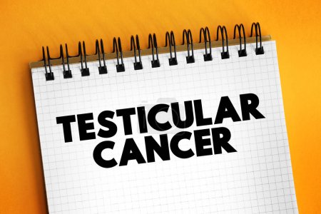 Foto de El cáncer testicular es uno de los cánceres menos comunes y afecta principalmente a hombres entre 15 y 49 años de edad, concepto de texto para presentaciones e informes - Imagen libre de derechos