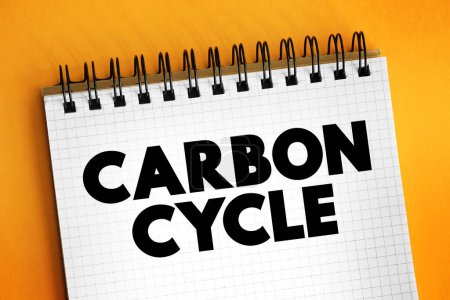 Foto de Ciclo del carbono: proceso en el que los átomos de carbono viajan continuamente de la atmósfera a la Tierra y luego regresan a la atmósfera. - Imagen libre de derechos