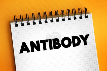 Téléchargez les photos : Anticorps - est une grande protéine en forme de Y utilisée par le système immunitaire pour identifier et neutraliser les corps étrangers tels que les bactéries pathogènes et les virus, concept de texte sur bloc-notes - en image libre de droit