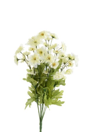 Foto de Aislado artificial pequeñas flores blancas - Imagen libre de derechos