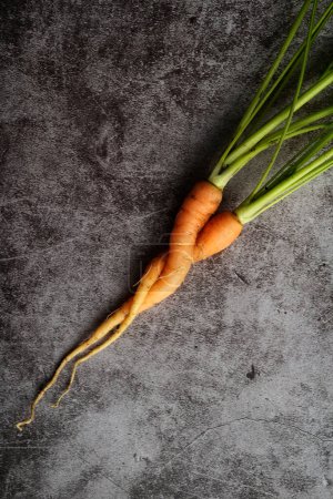 Foto de Primer plano dos zanahorias entrelazadas retorcidas como amantes - Imagen libre de derechos