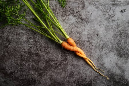 Foto de Dos zanahorias retorcidas juntas con tapas verdes - Imagen libre de derechos