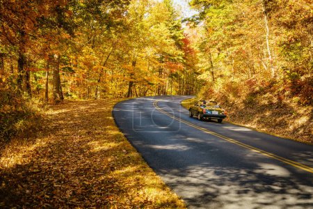 Téléchargez les photos : Promenade panoramique sur Blue Ridge Parkway en Caroline du Nord à l'automne - en image libre de droit