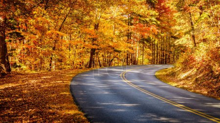 Foto de Blue Ridge Parkway winding through the woods in fall near Asheville, North Carolina - Imagen libre de derechos