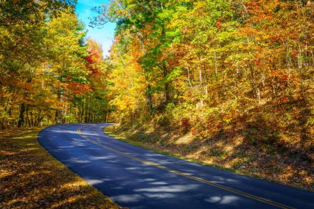 Foto de Blue Ridge Parkway winding through the woods in fall near Asheville, North Carolina - Imagen libre de derechos