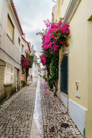 Téléchargez les photos : Rue pavée piétonne à Cascais, Portugal - en image libre de droit