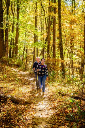 Téléchargez les photos : Senior couple is hiking in the woods in North Carolina in fall - en image libre de droit