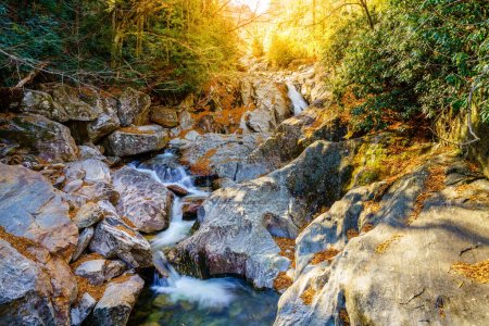 Foto de Rocky mountain stream in Pisgah National Forest, North Carolina - Imagen libre de derechos