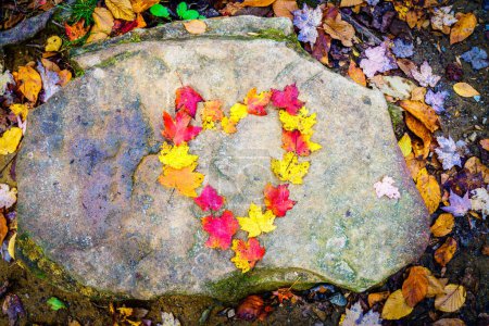 Foto de Forma de corazón hecha de hojas de arce de colores en una roca - Imagen libre de derechos