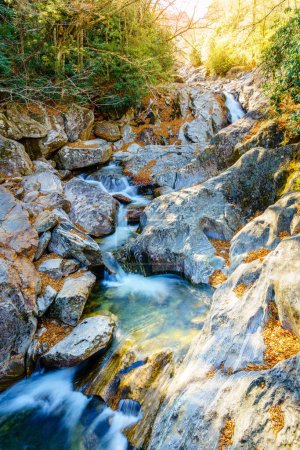 Foto de Rocky mountain stream in Pisgah National Forest, North Carolina - Imagen libre de derechos
