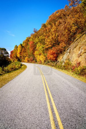 Téléchargez les photos : Vue panoramique de Blue Ridge Parkway près d'Asheville en Caroline du Nord à l'automne - en image libre de droit