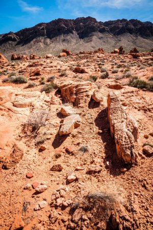 Photo for Desert landscape in Valley of Fire State Park in Nevada - Royalty Free Image