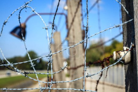 Photo for Close-up image of barbed wire of the perimeter fence - Royalty Free Image