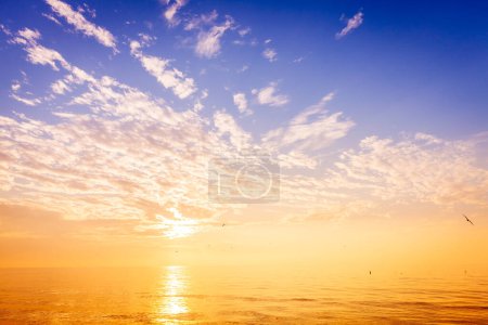 Téléchargez les photos : Coucher de soleil panoramique sur le golfe du Mexique à St Pete Beach en Floride - en image libre de droit