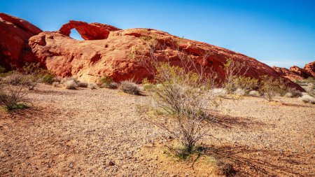 Téléchargez les photos : Formation d'Arch Rock dans la vallée de Fire State Park dans le Nevada - en image libre de droit