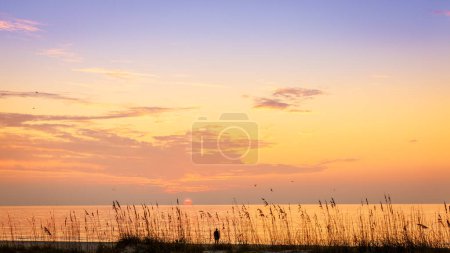 Téléchargez les photos : Coucher de soleil panoramique sur le golfe du Mexique à St Pete Beach en Floride - en image libre de droit