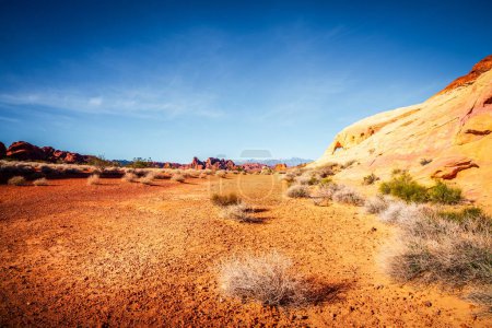 Téléchargez les photos : Sentier White Domes dans le parc national Valley of Fire au Nevada - en image libre de droit